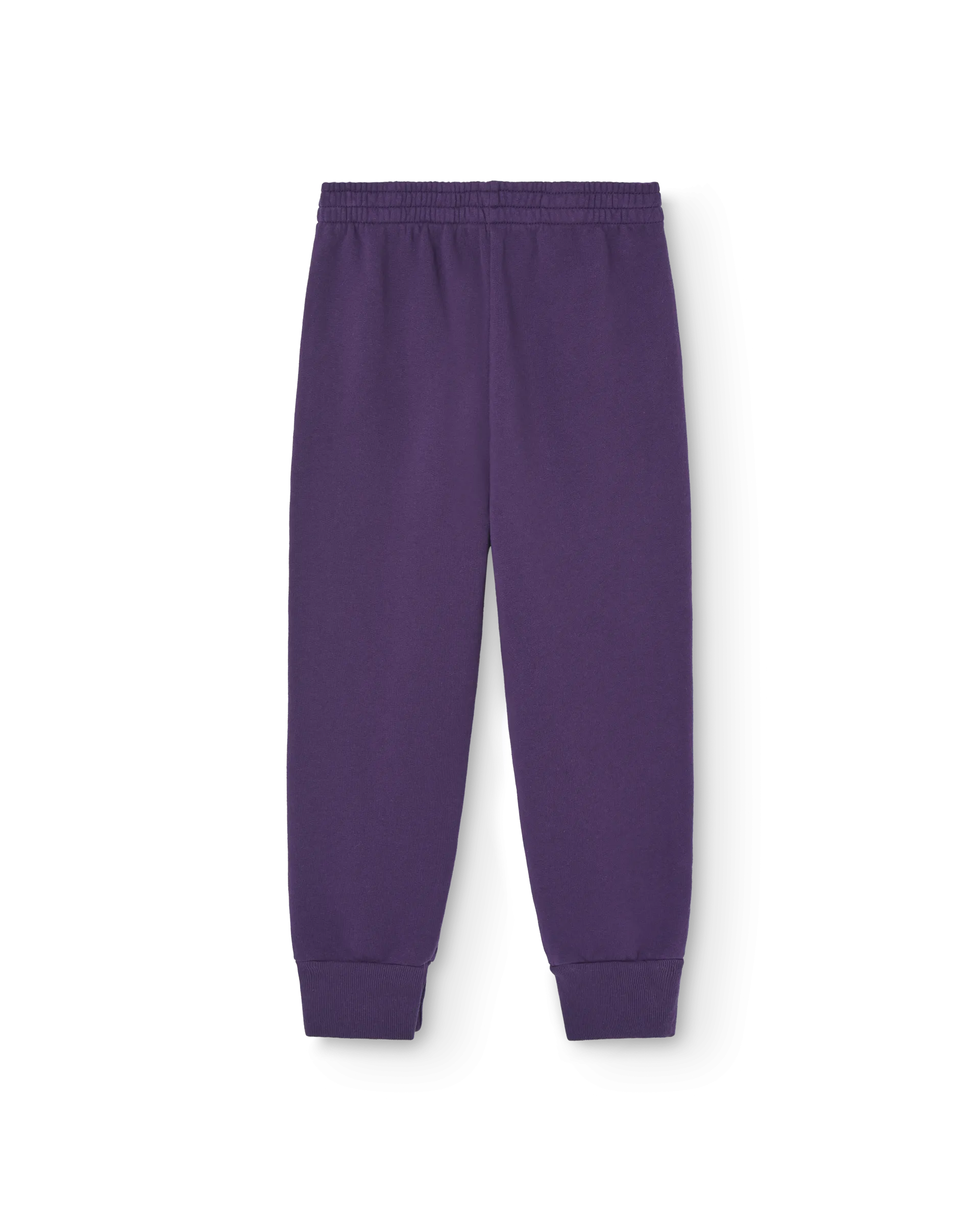 Draco Kids Pants Violet