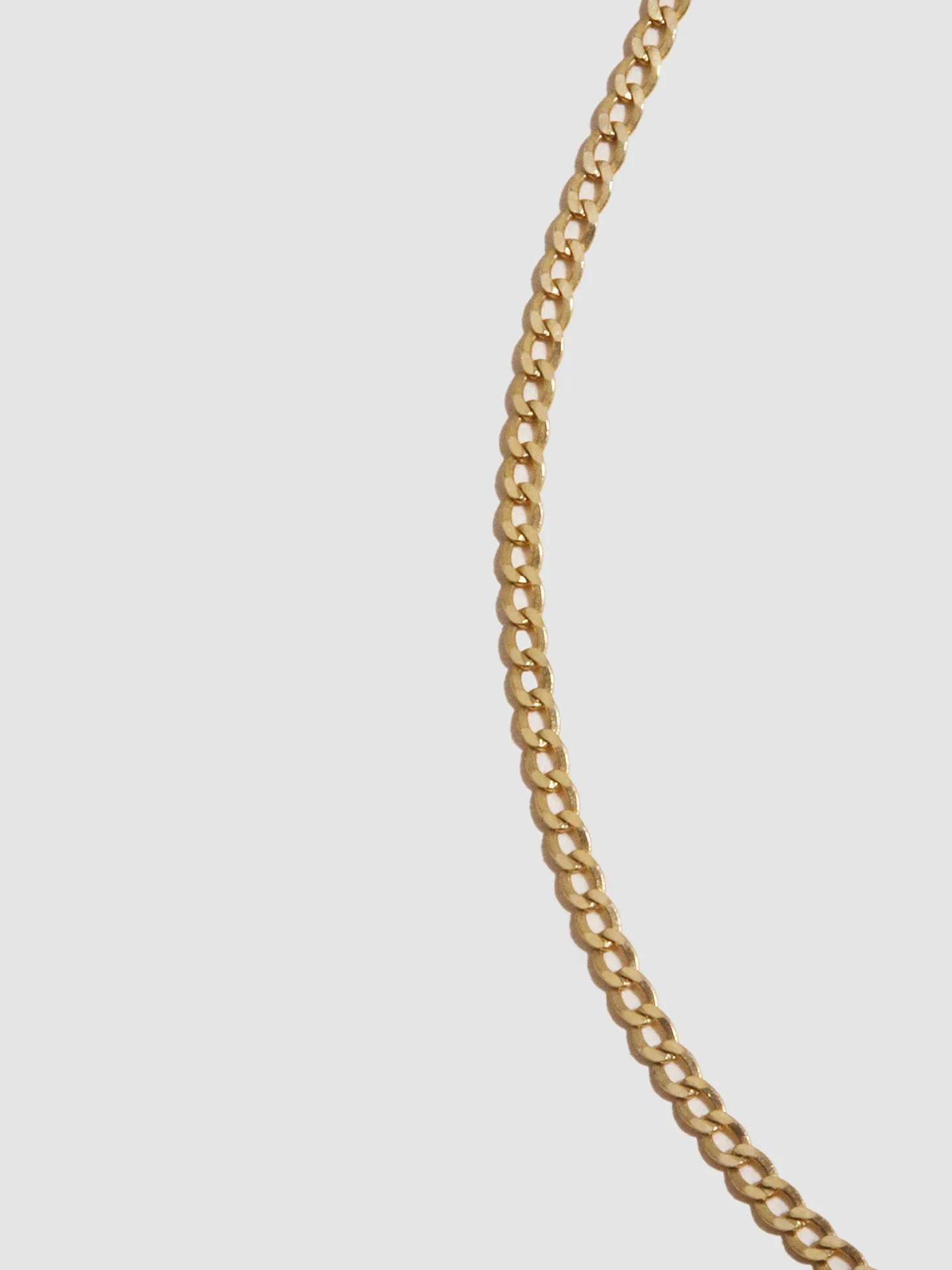 Petite Lightweight Havana Chain