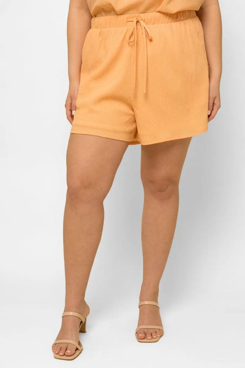 Plus Size Sleeveless Babydoll Top & Elastic Waist Shorts Set
