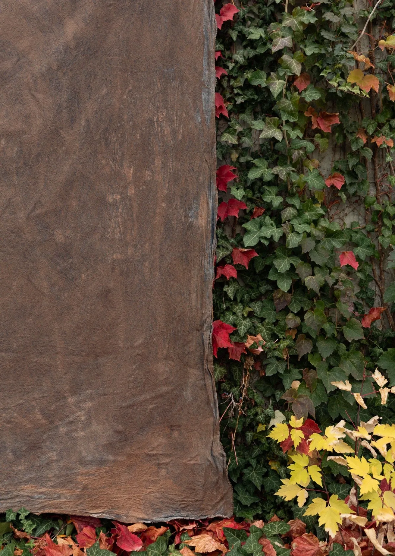 Red Deer- 5'x7' Weathered Muslin Backdrop in a Bag